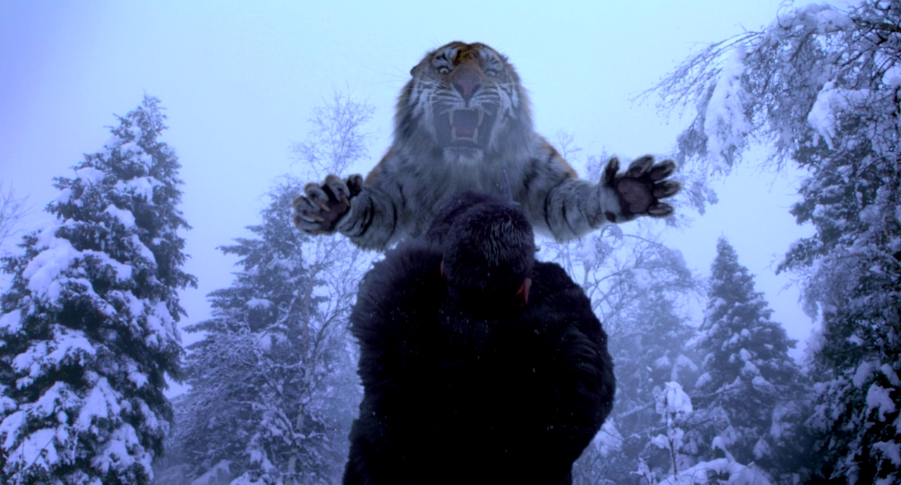 Захват тигра. Захват горы тигра (2014). Тигр в горах.