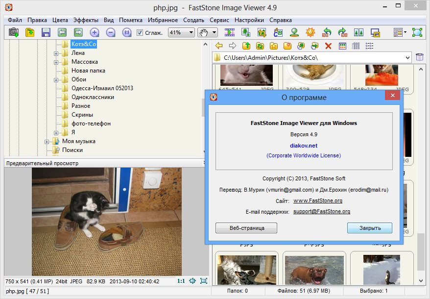 Просмотр фотографий на русском языке. FASTSTONE image. Программа для воспроизведения фотографий. Image viewer. Программа для просмотра изображений с глазом.