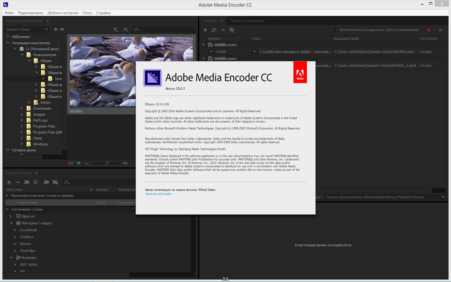 Adobe media encoder. Скрин с Media encoder.