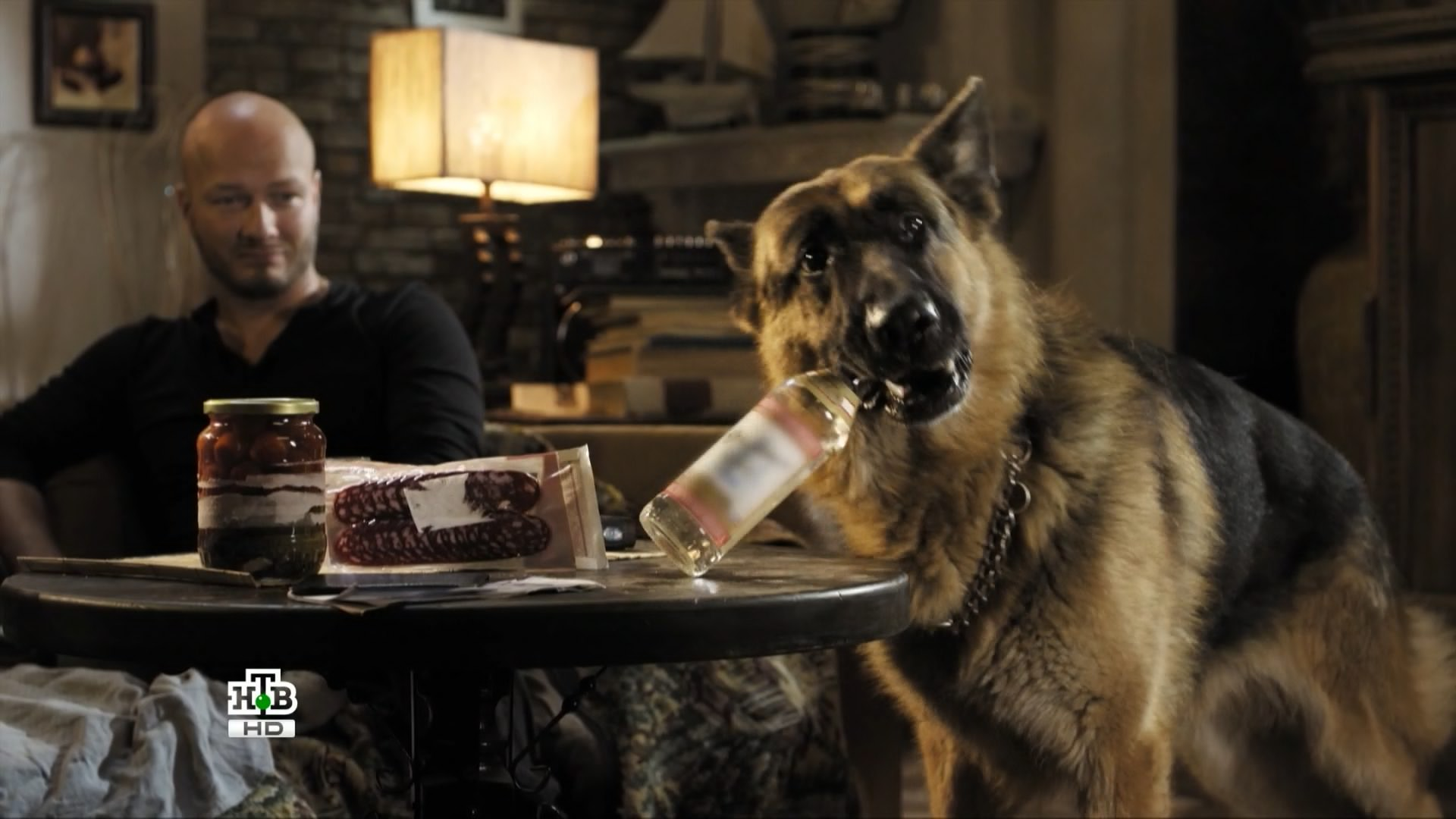 Saw dogs. Сериал пёс Макс. Кино пёс 4 сезон. Фильм пёс 1 сезон 1. Кино пёс 5 сезон.