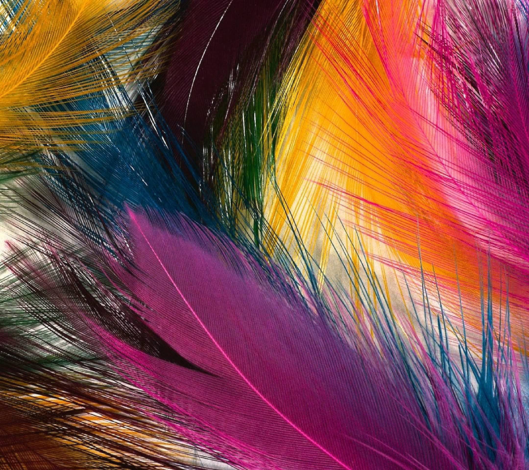 Цветные самсунг. Цветные перья. Яркие перья. Абстрактные перья. Яркая абстракция.