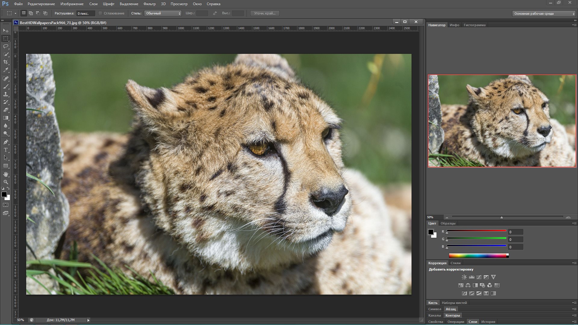 Photoshop portable x64. Adobe Photoshop. Photoshop cs6. Фотошоп cs6. Версия фотошоп 6.